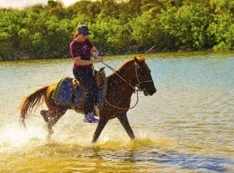 Discover the Trails of Punta Cana on a Horseback Ride - Photo 5 (Gallery view)