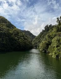 Bonao: Hike to Hidden Tropical Waterfalls with Locals - Photo 5 (Gallery view)