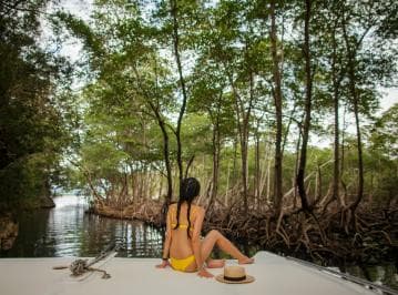 Los Haitises: Caves, Mangroves, & Rainforest Hike/Boat Tour - Photo 2 (Gallery view)