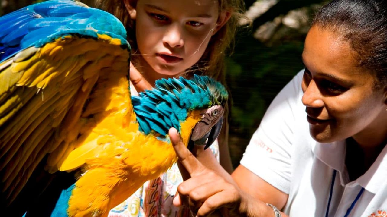 Puerto Plata Ocean World Adventure Park Taino bay Amber cove - Photo 2 (Gallery view)