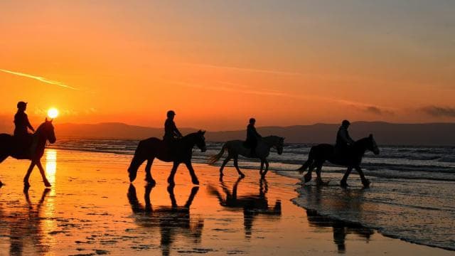 Playa Conchal: Horseback Riding -Sunset Private Tour For All - Dominican Republic
