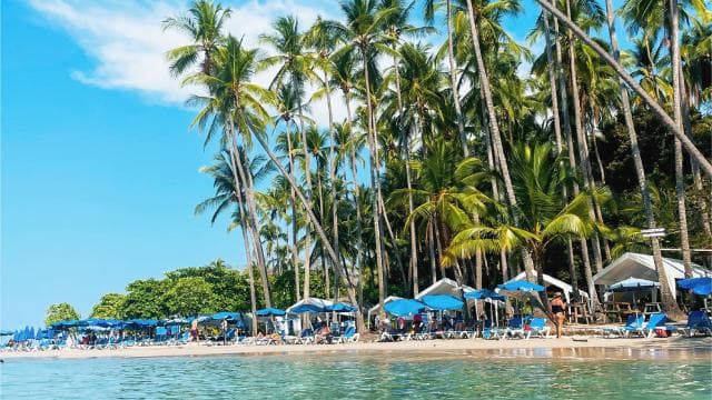 From Jaco: Tortuga Island Boat Tour with Snorkel and Lunch - Photo 5 (Gallery view)
