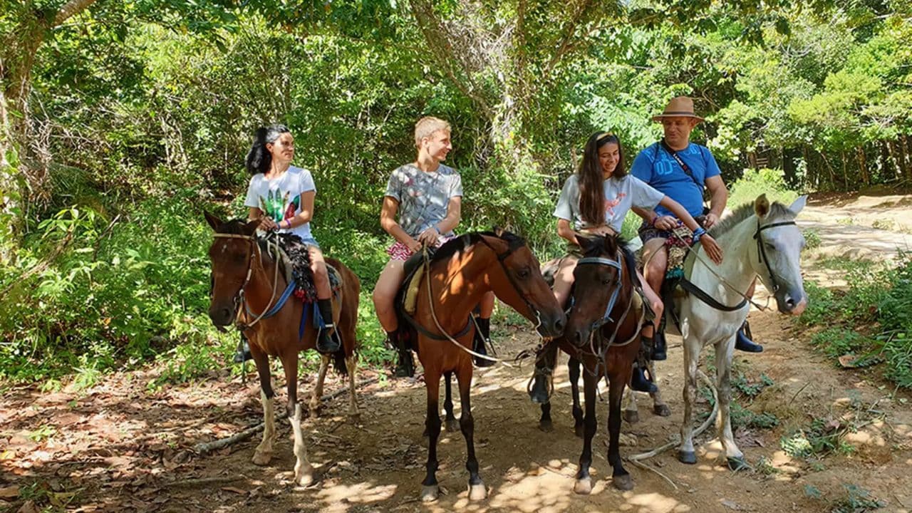 Punta Cana: Samana with Waterfall & Bacardi Island Day Trip - Photo 4 (Gallery view)
