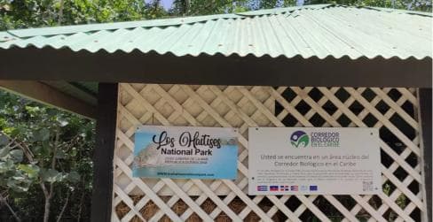 Private: Los Haitises & Cayo Levantado from Samana - Photo 5 (Gallery view)