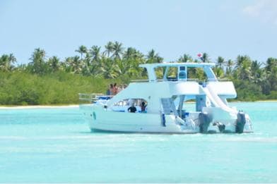 Los Haitises: Boat Excursion and Walking Tour with Lunch - Photo 4 (Gallery view)
