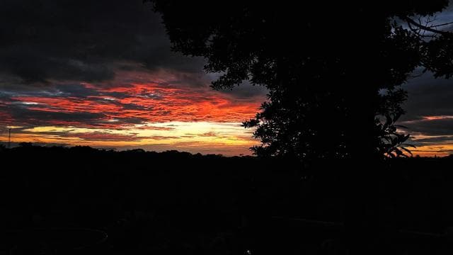 Monteverde: Oktari Monteverde Night Walk Tour - Photo 5 (Gallery view)