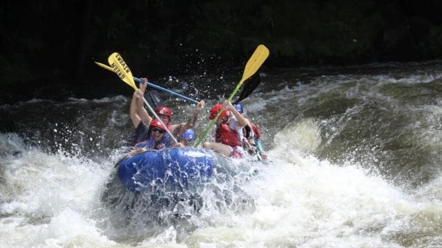 Fluss Sarapiquí: Wildwasser-Rafting-Abenteuer mit Snacks - Photo 4 (Gallery view)