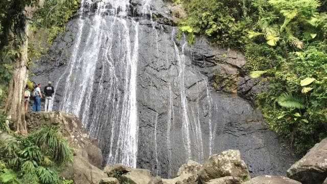 San Juan: El Yunque Rainforest Guided Tour - Photo 2 (Gallery view)