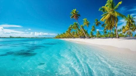 З Пунта-Кани: Samaná Cayo Levantado і водоспад + спостереження за китами - Photo 2 (Gallery view)