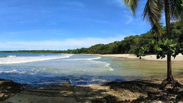 Marino Ballena National Park: Whale Watching In Uvita - Photo 2 (Gallery view)