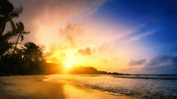Punta Cana: Sunset Horseback Ride in Macao Beach and Forest - Photo 1 (Main angle)