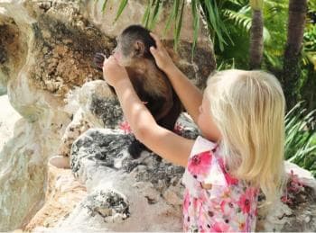 Punta Cana: Monkey Houses Private Tour - Photo 5 (Gallery view)