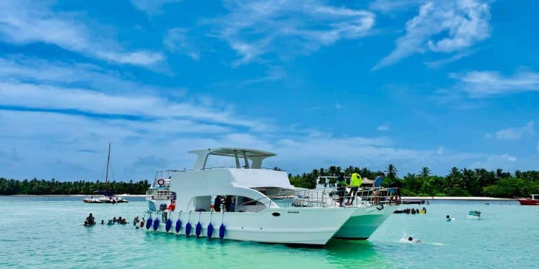 Private Catamaran Crusie, snorkeling, lunch & water slide - Photo 5 (Gallery view)