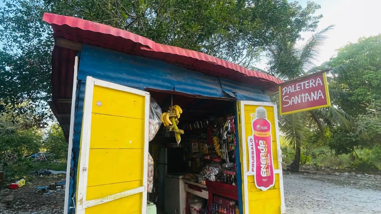 Crucero de día completo por Isla Saona desde Santo Domingo con almuerzo - Photo 5 (Gallery view)