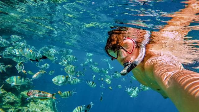 Catalina Island and Snorkeling Tour - Photo 5 (Gallery view)