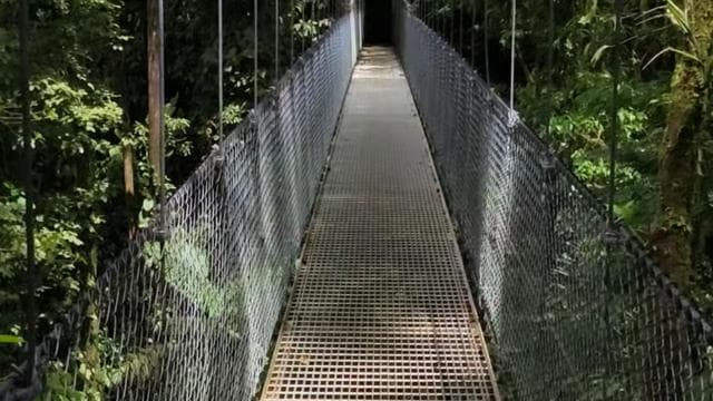 Fortuna Arenal : Selva Tropical Puentes Colgantes del Arenal - Photo 3 (Gallery view)