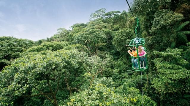 From San Jose: Rainforest Atlantic Aerial Tram Tour - Photo 4 (Gallery view)