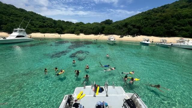 Culebra: Snorkeling Tour by Boat with Lunch - Photo 4 (Gallery view)