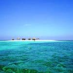 Cayo Arena: Paradise Island and Mangroves Tour - Photo 4 (Gallery view)