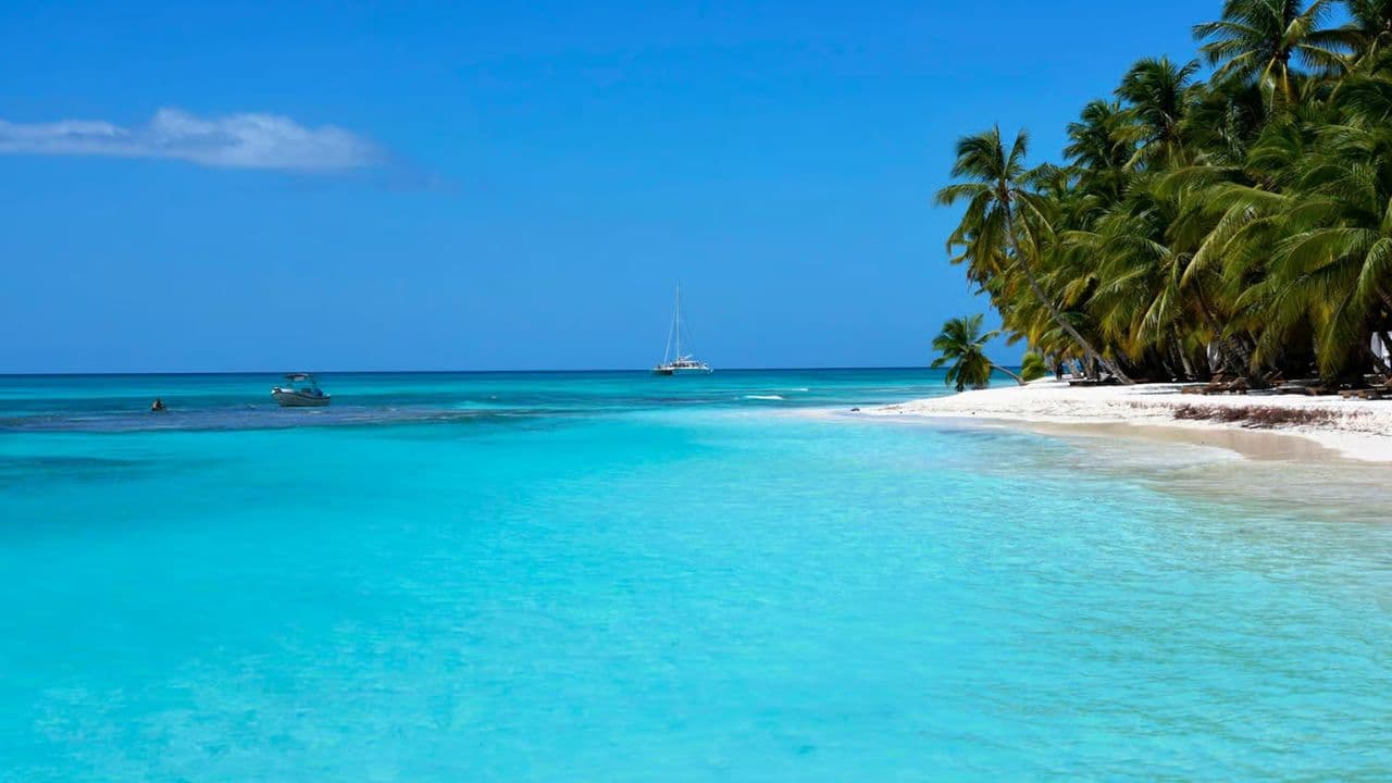 Punta Cana: Saona Island Day Trip with Open Bar and Lunch - Photo 5 (Gallery view)