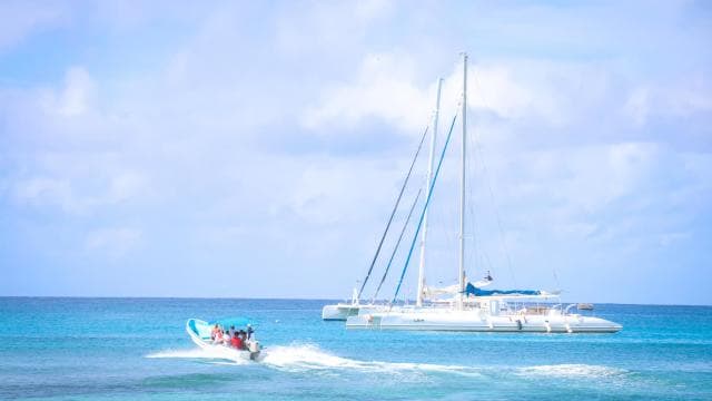 Punta Cana: Saona Island Catamaran - Dominican Republic