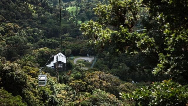 Monteverde: TreeTram Cableway and Cloud Forest Hiking Trail - Dominican Republic