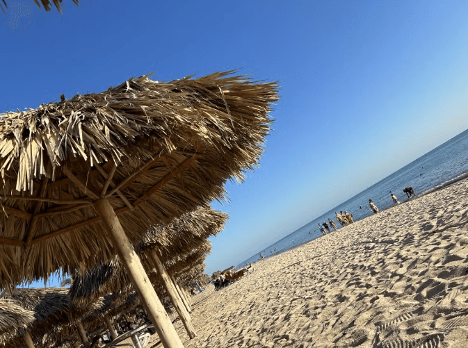 Oldtimerfahrt nach Playa Ancon - Photo 3 (Gallery view)