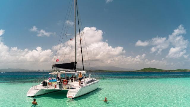 De Fajardo : excursion d'une journée en catamaran sur l'île Icacos - Photo 5 (Gallery view)