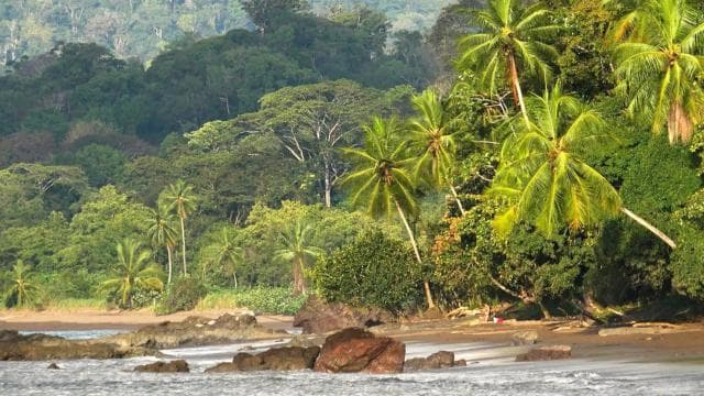 Corcovado National Park: Three Days and Two Nights Corcovado - Dominican Republic