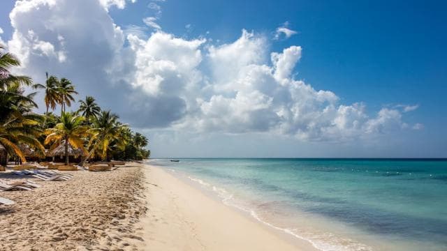 From Punta Cana: Saona Island Cruise with Private Beach - Photo 5 (Gallery view)