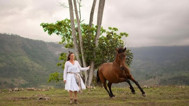 Finca Soley: Liberty Workshop and coaching with Horses - Photo 2 (Gallery view)