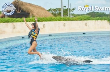 Punta Cana: Swim or Interact with Dolphins in the Sea - Dominican Republic