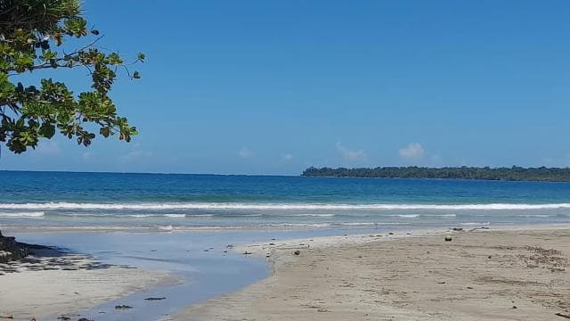 Pak nasyonal Cahuita : vwayaj k ap gide ak Pablo - Photo 3 (Gallery view)