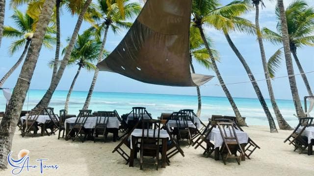 Catamaran Tour to Saona Island with Tropical Buffet Lunch - Photo 4 (Gallery view)