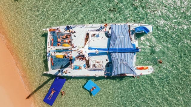 De Fajardo : excursion d'une journée en catamaran sur l'île Icacos - Photo 2 (Gallery view)