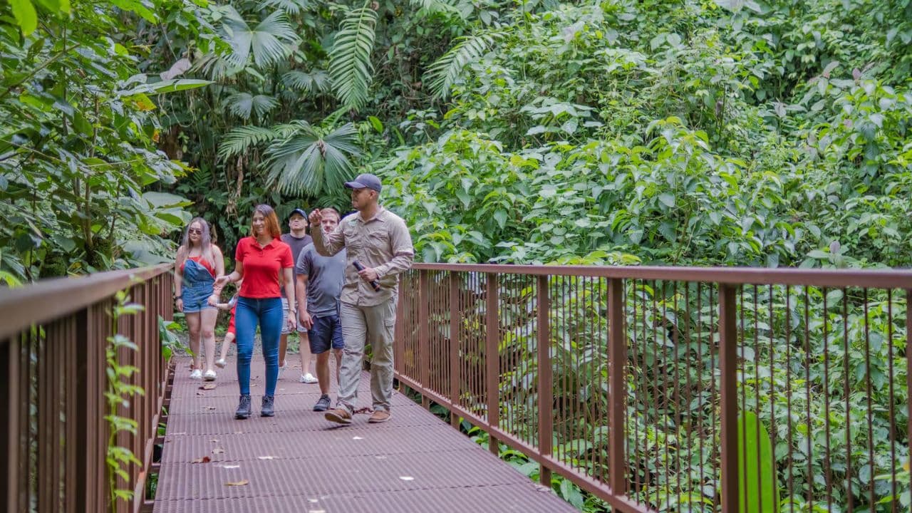 Visite écologique de la jungle - Photo 5 (Gallery view)