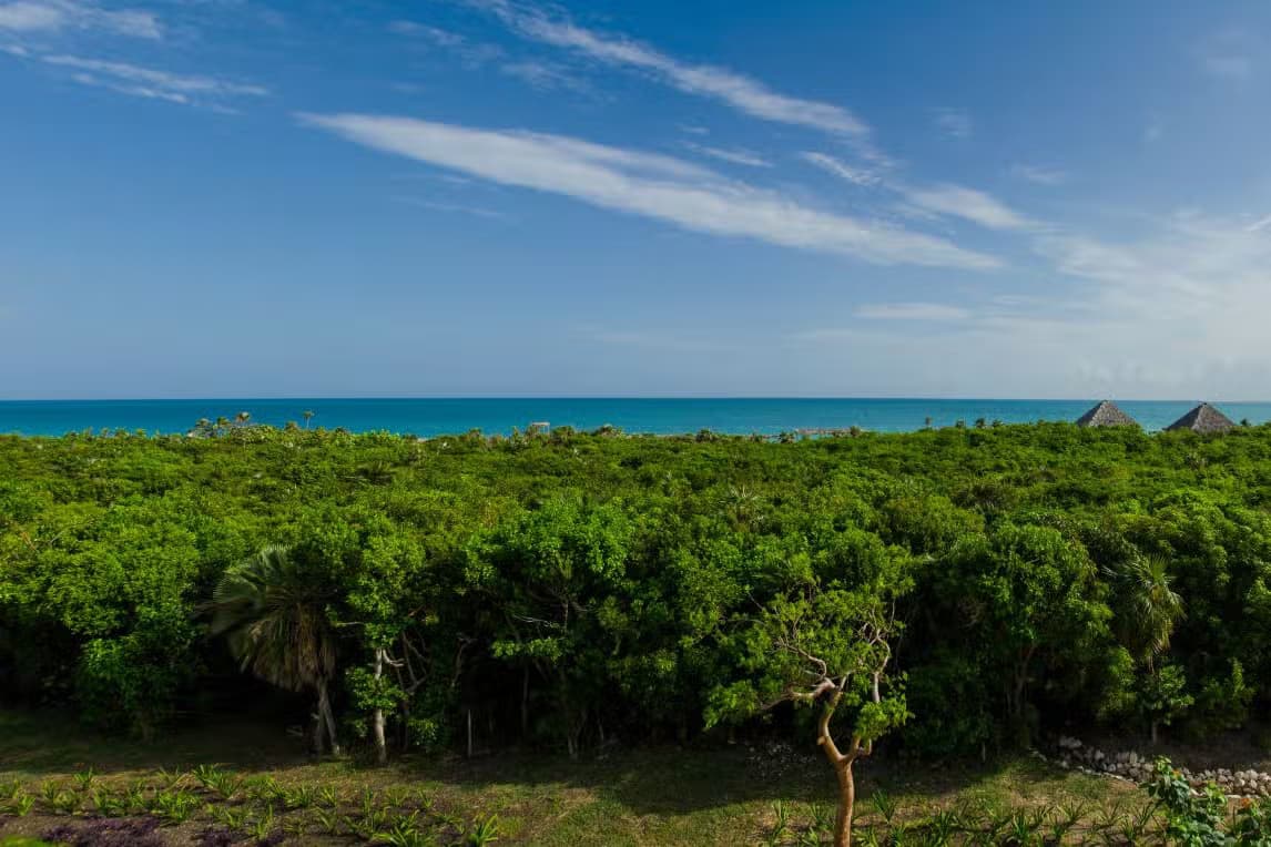 Transfer to Cayo Santa María - Photo 2 (Gallery view)