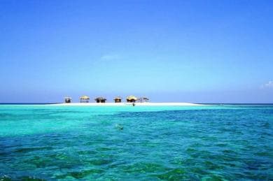Cayo Arena: Paradise Island and Mangroves Tour - Photo 5 (Gallery view)