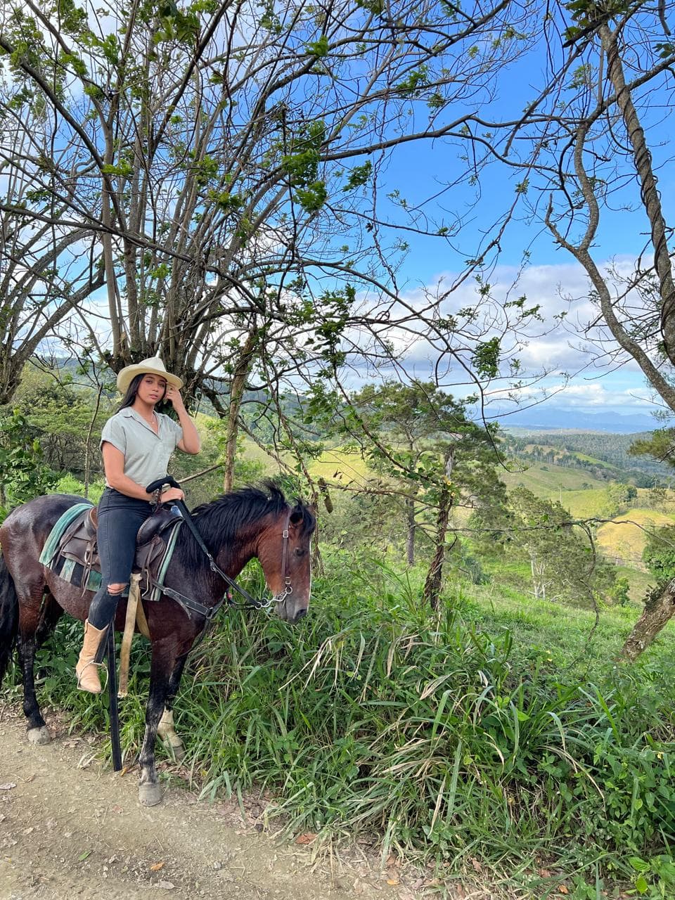 Jarabacoa: Horseride Excursion to Salto Baiguate Waterfall (Copy) - Photo 4 (Gallery view)