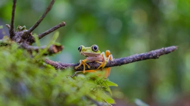 Natura Eco Park Admission: Wildlife Sanctuary - Photo 5 (Gallery view)