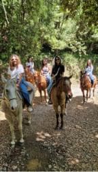 Private: Punta Cana: Horseback Riding Tour with Sunset - Photo 4 (Gallery view)