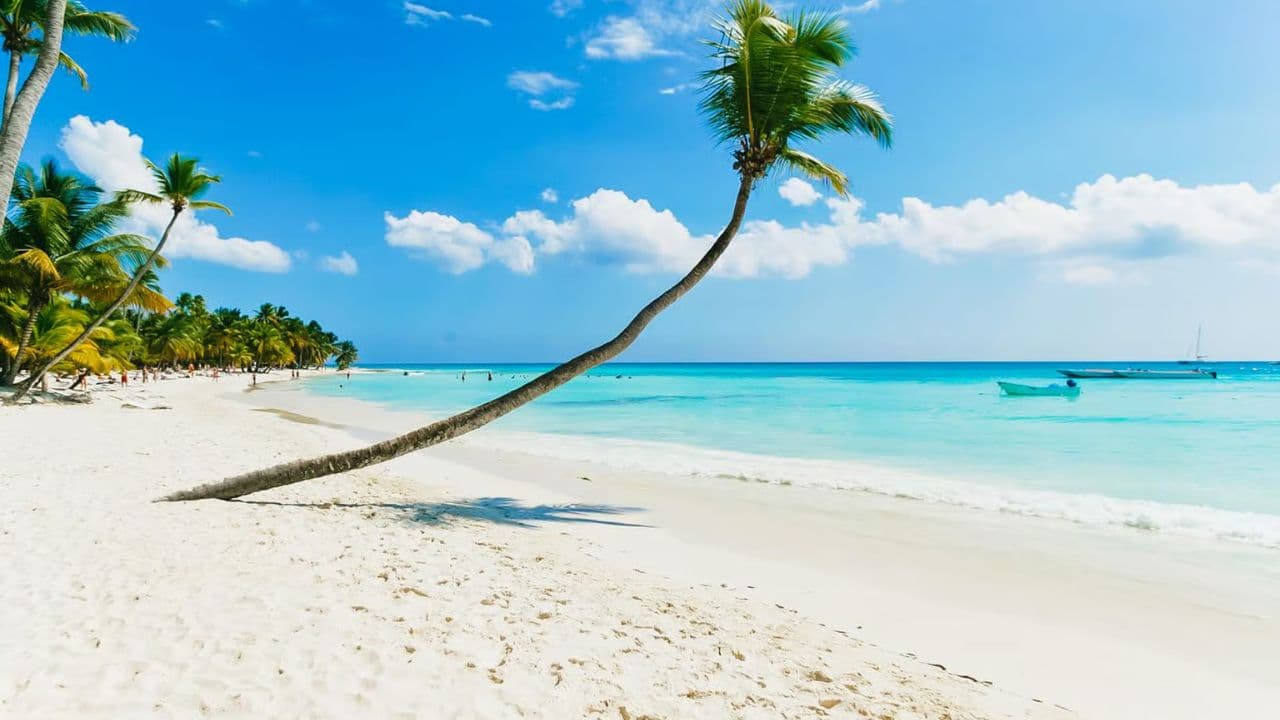 Explore Saona Island: Catamaran Tour from Punta Cana - Photo 5 (Gallery view)
