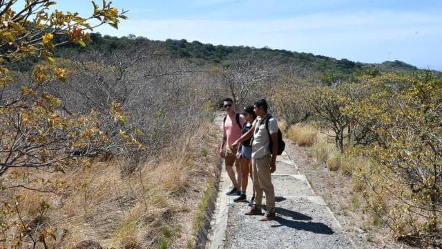 Rincón de la Vieja: Las Pailas trail + Oropendola - Dominican Republic