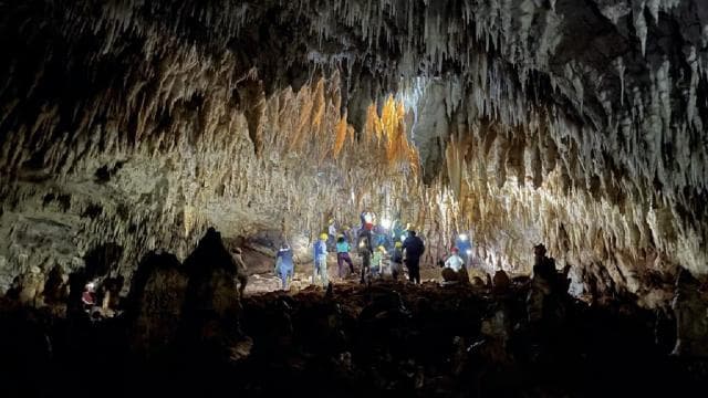 San Juan: Camuy River Canyon and Cave Tour with Pickup - Photo 4 (Gallery view)