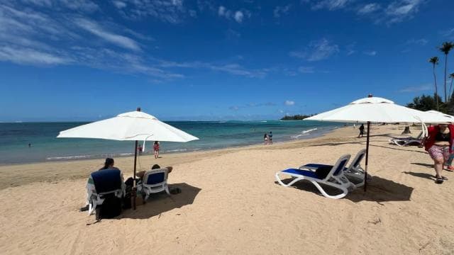 Wasserrutschen und Strandtour und Transport im El Yunque-Regenwald - Photo 4 (Gallery view)