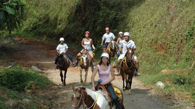 From Manuel Antonio: Horseback Riding with Lunch or Dinner - Photo 5 (Gallery view)