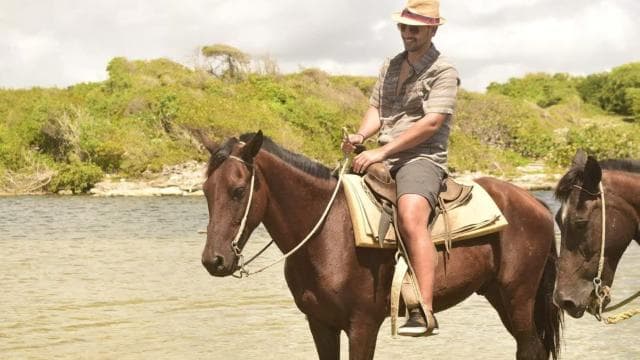 Horseback riding, coffee, chocolate tasting and Macao beach - Photo 4 (Gallery view)