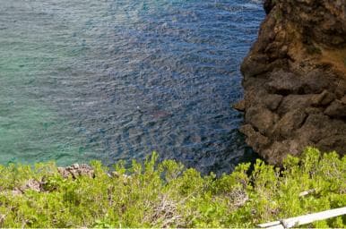 Samana Bay: Cayo Levantado Snorkeling and Kayaking Tour - Photo 3 (Gallery view)