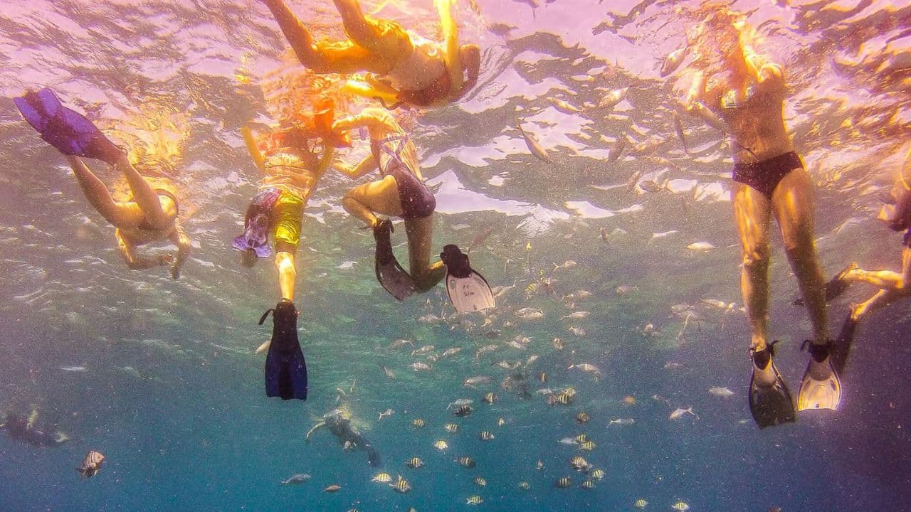 La Romana: tour de snorkel de día completo en la isla Catalina - Photo 3 (Gallery view)