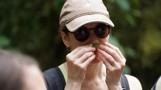 Manuel Antonio National Park: All-Inclusive Guided Tour - Photo 4 (Gallery view)